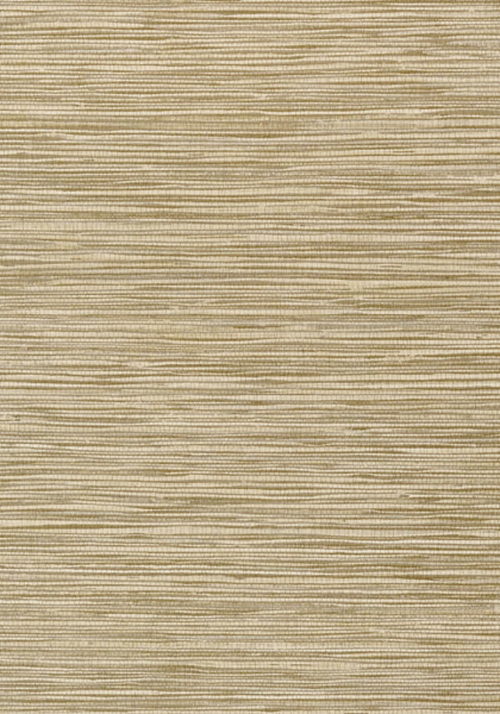 JINDO GRASS T75118